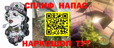 гидра Малгобек