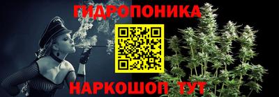 прущие грибы Мариинск