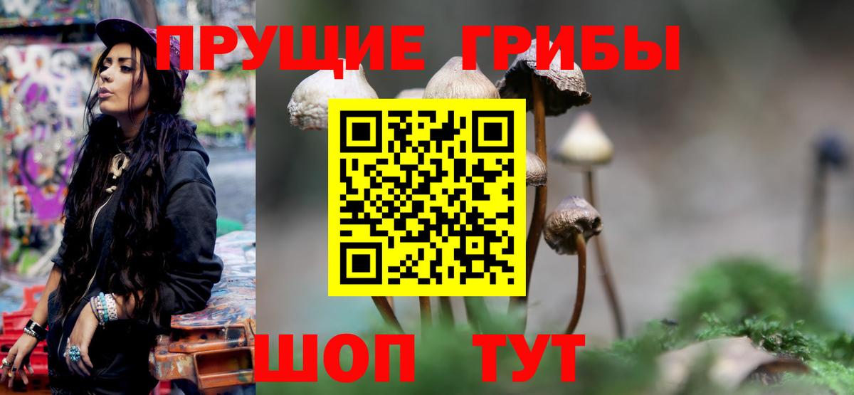 Галлюциногенные грибы мицелий Дзержинск